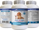 Enzima de dientes de perro - Enfermedad de los perros Fórmula - Cuidado de los Gum Natural - REMOVES Plaque Construir - Respiración de FRESHENS - Vitaminas y Suplementos de perros - 1 Botella (60 Treats)