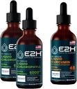 E2H: Chlorophyll Liquid Drops (2 Pack - 4 Fl Oz) y Liquid Turmeric Curcumin (Single Bottle - 2 Fl Oz) ANTE Vegan, Non-GMO - (6 Fl Oz Total) - Bundle