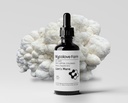 Mycolove Farm Organic Lion's Mane & Gotu Kola Tincture - Claridad mental más alta - Extracto corporal de frutas