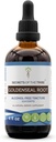 Secrets of the Tribe Goldenseal Alcohol-Free Liquid Extract, Goldenseal (Hydrastis Canadensis) Dried Root Tincture Supplement (4 FL OZ)