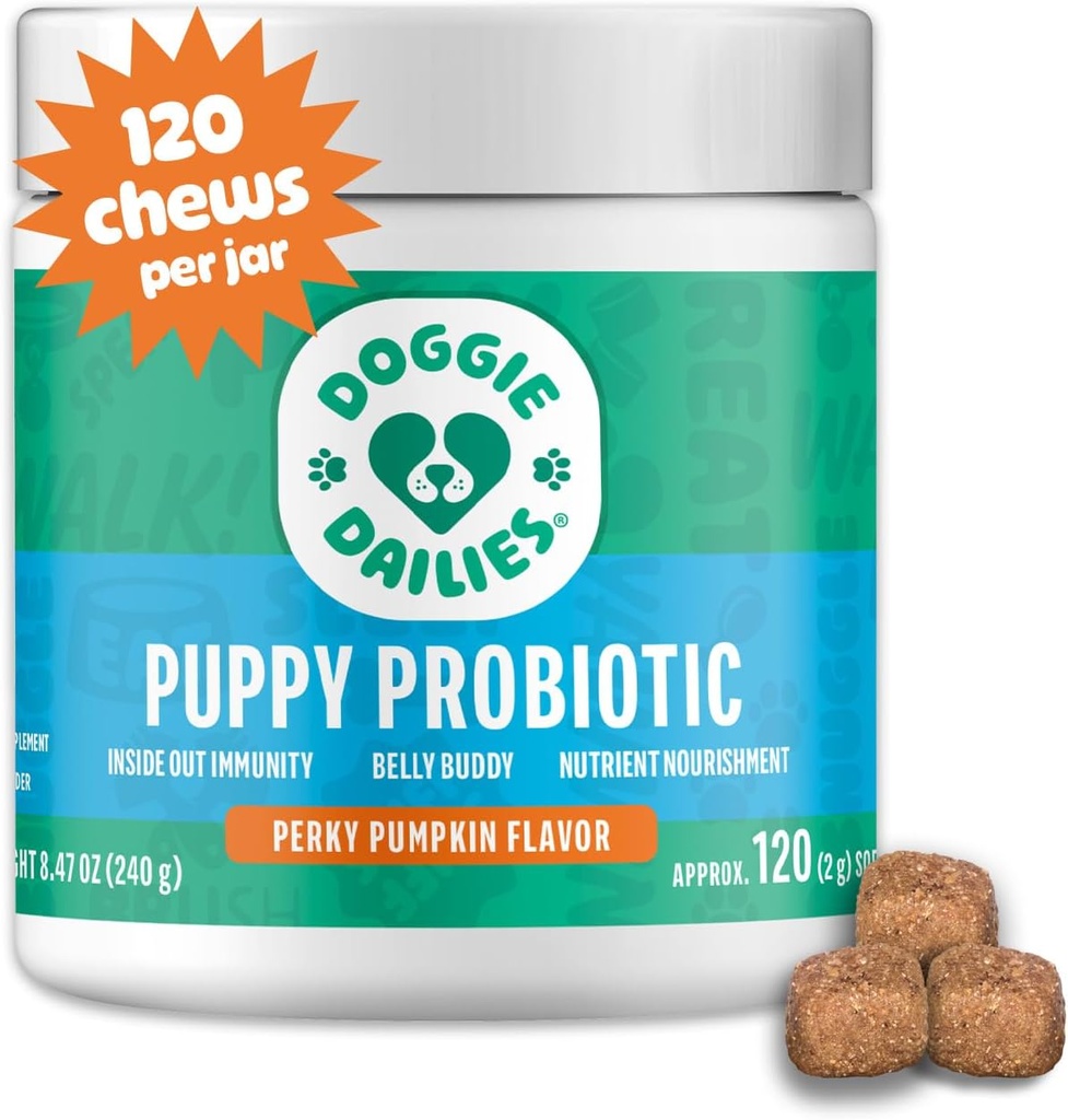 Doggie Dailies Puppy Probiotic, Probiotics for Puppies with Digestive Enzymes, Promotes Digestive Health, Supports Immune System & General Development (Pumpkin) 120 Soft Chews
