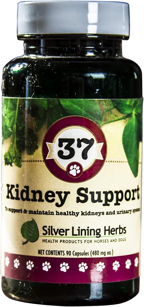 Silver Lining 37 Canine Kidney Support - Herbal Dog Supplement - Natural Support Blend for Normal Kidney &amp; Bladder Function - 90 cápsulas