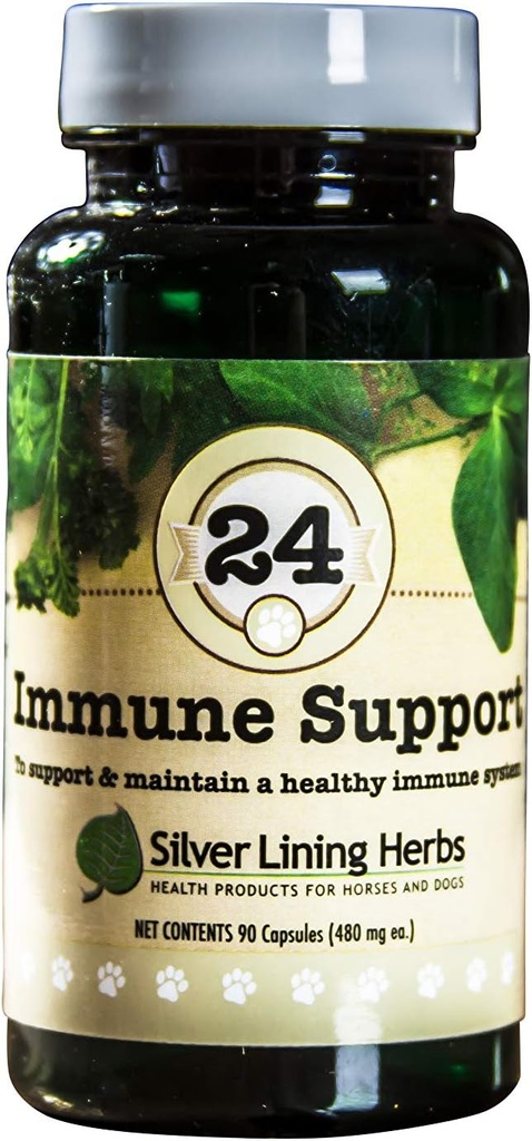 Herbs de forro de plata Suplemento de soporte para perros inmunitarios – Vitaminas naturales para perros herbarios – promueve una fuerte defensa inmunitaria, vitalidad y bienestar general – 90 cápsulas