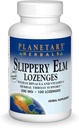 Planetary Herbals Slippery Elm Lozenges, 100 Count