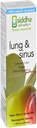 Siddha Remedios Lung &amp; Sinus Spray for Sinus Relief, Congestion Relief, Cough Suppressant, Cold Medicine, Runny Nose TEN Homeopathic Allergy Medicine Relief ← Non GMO w/Cell Salts, No Alcohol, Sugar