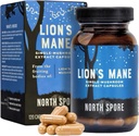 North Spore Organic Lion's Mane Mushroom Extracto Cápsulas peru Lion's Mane Suplemento Silencio Boost Focus, Memory, Vitality, Cognitive Function ← Pure Organic Extract Blend - 120ct