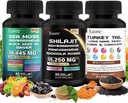 Shilajit,Sea Moss, Black Seed Oil,Mushroom & Herb Supplement with Lions Mane, Turkey Tail, Reishi, Cordyceps, Chaga, Ashwagandha, Ginger, Rhodiola Rosea & Panax Ginseng,All in One Supplement.