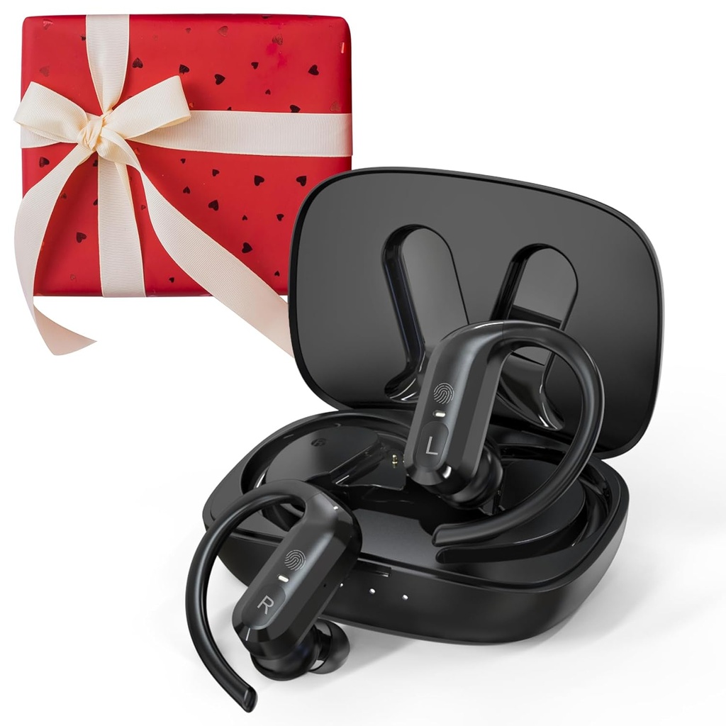 Ayudas recargables para adultos y mayores, Modelo negro estándar para pérdidas auditivas severas con cancelación de ruido y 5 niveles de volumen ajustables, versión estándar negra