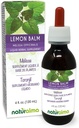 Naturalma Lemon Balm (Melissa officinalis) Leaf Alcohol-Free Tintura - 4 fl oz Liquid Extract in Drops - Herbal Supplement - Vegan