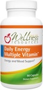 Wellness Resources Daily Energy Multiple Vitamina - 90 cápsulas - MTHFR multivitamina diaria metilada sin hierro - Vitamina B12, Folate, & Bioavailable B Vitaminas - Best Supplement for Energy & Mood