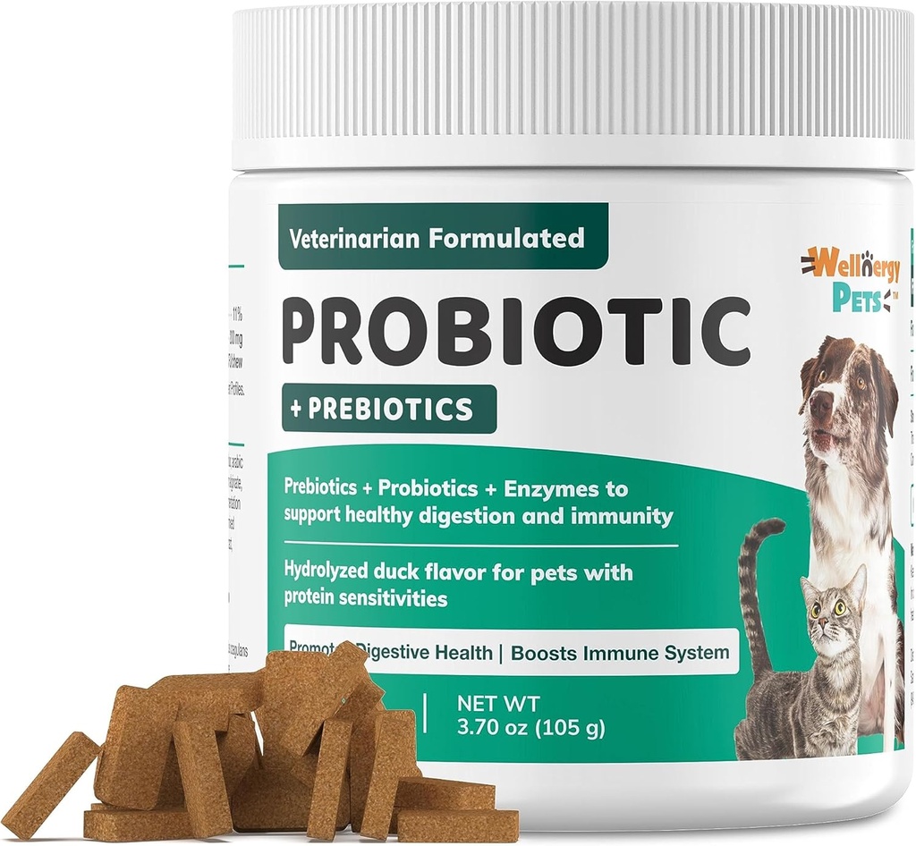 Wellnergy Daily Probiotic " Prebiotics Soft Chew for Dogs " Cats - Asistencia Digestiva para la diarrea, estreñimiento, estómago de aparición, indigestión " Gas - Ayuda Digestión, Esquía de alergia " Salud inmune 70ct
