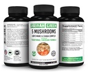 Siberian Green 5 Mushrooms Lions Mane Chaga Shiitake Maitake Reishi - 60 cápsulas