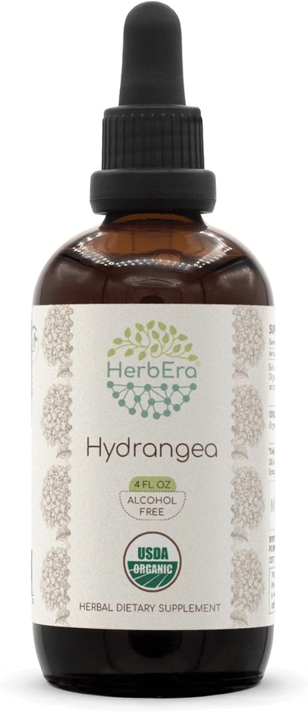 HerbEra Hydrangea B120 USDA Organic Tincture ← Extracto libre de alcohol, gotas herbales de alta potencia tención Certified Organic Hydrangea (Hydrangea arborescens) Root seco (4 oz)