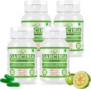 Natural y Puro Herbal Garcinia CAMBOGIA (Garcinia) Extracto Cápsulas ← Potencia más alta, 100% Herbal Producto ← Pack de 60 X 500 mg. Veg. Cápsulas (Pack of 4 Jar)