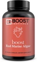 BoostCeuticals Red Marine Algae Gigartina 90 Vegan Capsules No Stearates, No Silica Immune Support, Non-GMO, Mineral &amp; Calcium Source – 3 Month Supply