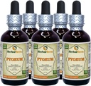 African Cherry Pygeum (Prunus Africana) Tincture, Organic Dried Bark Liquid Extract (Brand Name: HerbalTerra, Proudly Made in USA) 5x2 fl.oz (5x60 ml)