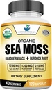 American Standard Supplements Organic Sea Moss, Bladderwrack &amp; Burdock Root Capsules - 1200mg Seamoss, 1200mg Bladderwrack, 225mg Burdock Root Por Serving - 120 Capsules, 40 Servings