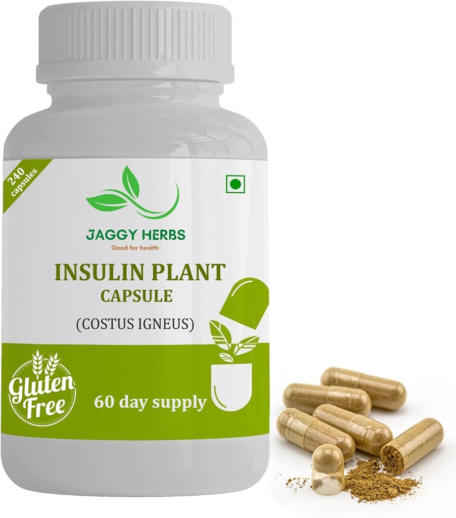 Genérico JAGGY Premium Insulin Plant Capsules (Costus Igneus) Suplemento Natural 240 Veggie Capsules (60 Day Supply) Insulin Plant