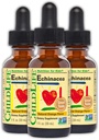 CHILDLIFE ESSENTIALS Echinacea for Kids - Kids Echinacea Drops, Liquid Tincture, Alcohol Free Supplement for Babies, Toddlers, Children - Natural Orange, 1 Fl Oz (Pack of 3)