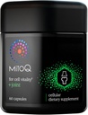 MitoQ +Joint Advanced CoQ10 Antioxidant Supplement - Contains Mitoquinol Mesylate &amp; Green Lipped Mussel Omega Oil Extract - Supports Healthy Joint, Mobility and Cell Vitality (60 Softgel Capsules)