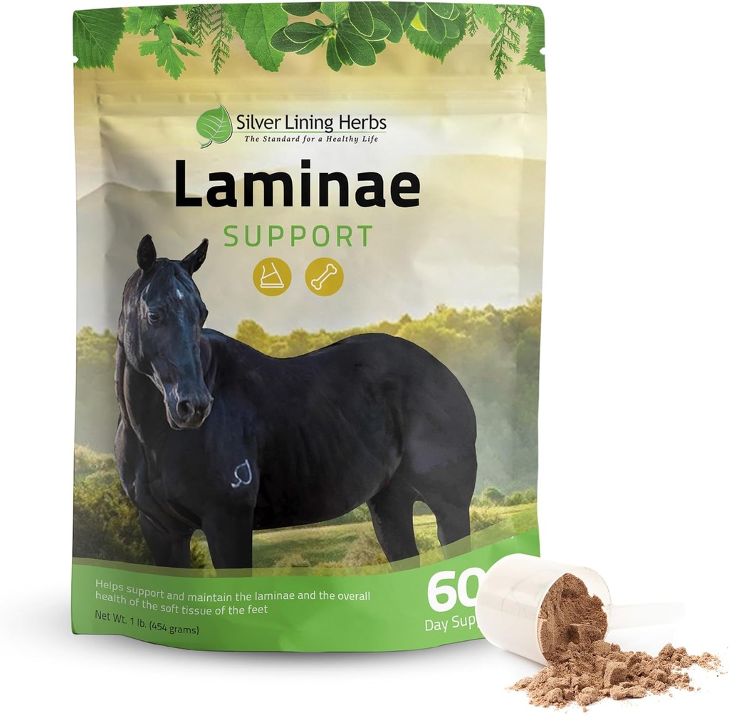 Herbs de forro de plata Laminae Support Suplementos de caballos Laminitis &amp; Fundador Soporte para Caballos - Soporte Movilidad, Pies Soros, Tissue suave &amp; Mejor Carne - Herbal Hoof Suplementos para Caballos - 1 LB