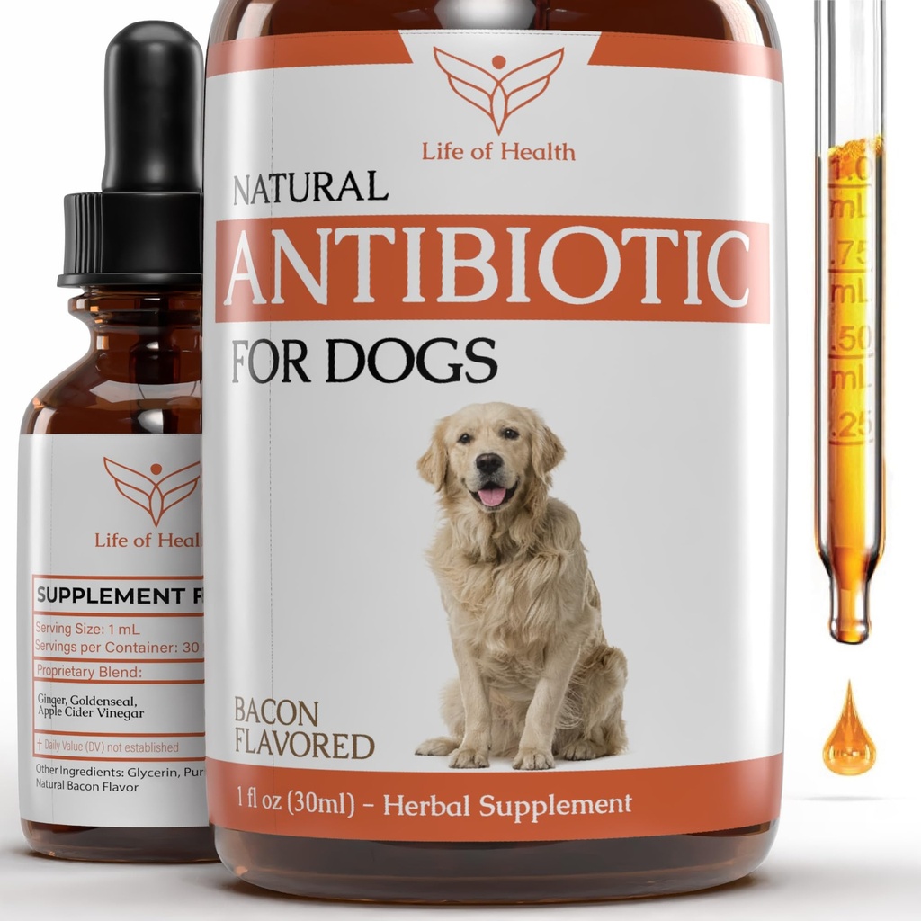 Antibióticos Naturales para Perros TENIDO Antibióticos Perros TENIDO Tratamiento de la Infección del Perro TERRITORIO Itch Alivio de la Infección de la Levadura Tratamiento para Perros ANTERIOR Antibióticos para Mascotas Antibióticos TENIDO Antibióticos para Perros