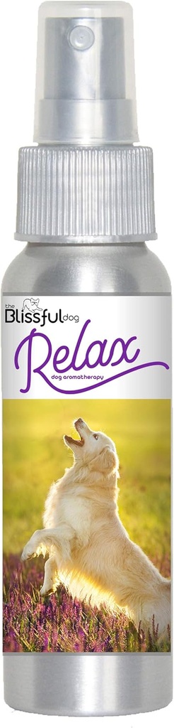 El perro feliz Golden Retriever Relajar Aromaterapia Perro para la ansiedad de su perro