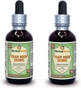 Tian Men Dong, Asparagus (Asparagus Cochinensis) Glycerite, Dried Root Powder Alcohol-Free Liquid Extract (Marca: HerbalTerra, Proudly Made in USA) 2x2 fl.oz (2x60 ml)