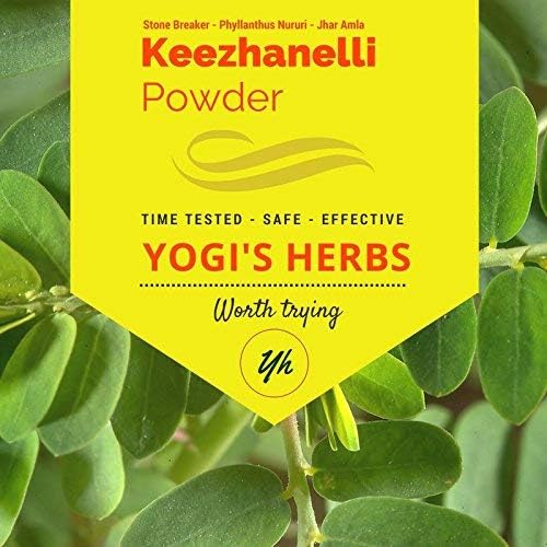 YOGIS HERBS Keezhanelli Powder (Phyllanthus Niruri) Silencio Chanca Piedra Stone Breaker – Liver, Kidney & Gallbladder Support– Suplemento Herbal fresco y puro (8 oz)