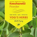 YOGIS HERBS Keezhanelli Powder (Phyllanthus Niruri) Silencio Chanca Piedra Stone Breaker – Liver, Kidney & Gallbladder Support– Suplemento Herbal fresco y puro (8 oz)