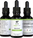 Reishi Mushroom Extract - Tintura líquida - Suplemento para la Defensa Inmunitaria &amp; Brain Support, Apoyo a la función saludable del hígado, energizante, " mejor sueño, 1oz por Ziggy Health