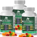 Mushroom Gummies – 10 Mushroom Complex with Lion’s Mane, Reishi, Chaga, Cordyceps &amp; More – Fruity Vegan Gummies – Non-GMO, Gluten-Free, Plant-Based – 3 Packs
