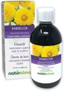 Naturalma Dandelion (Taraxacum officinale) Root and herb Alcohol-Free Tintura - 16.9 fl oz Liquid Extract in Drops - Herbal Supplement - Vegan