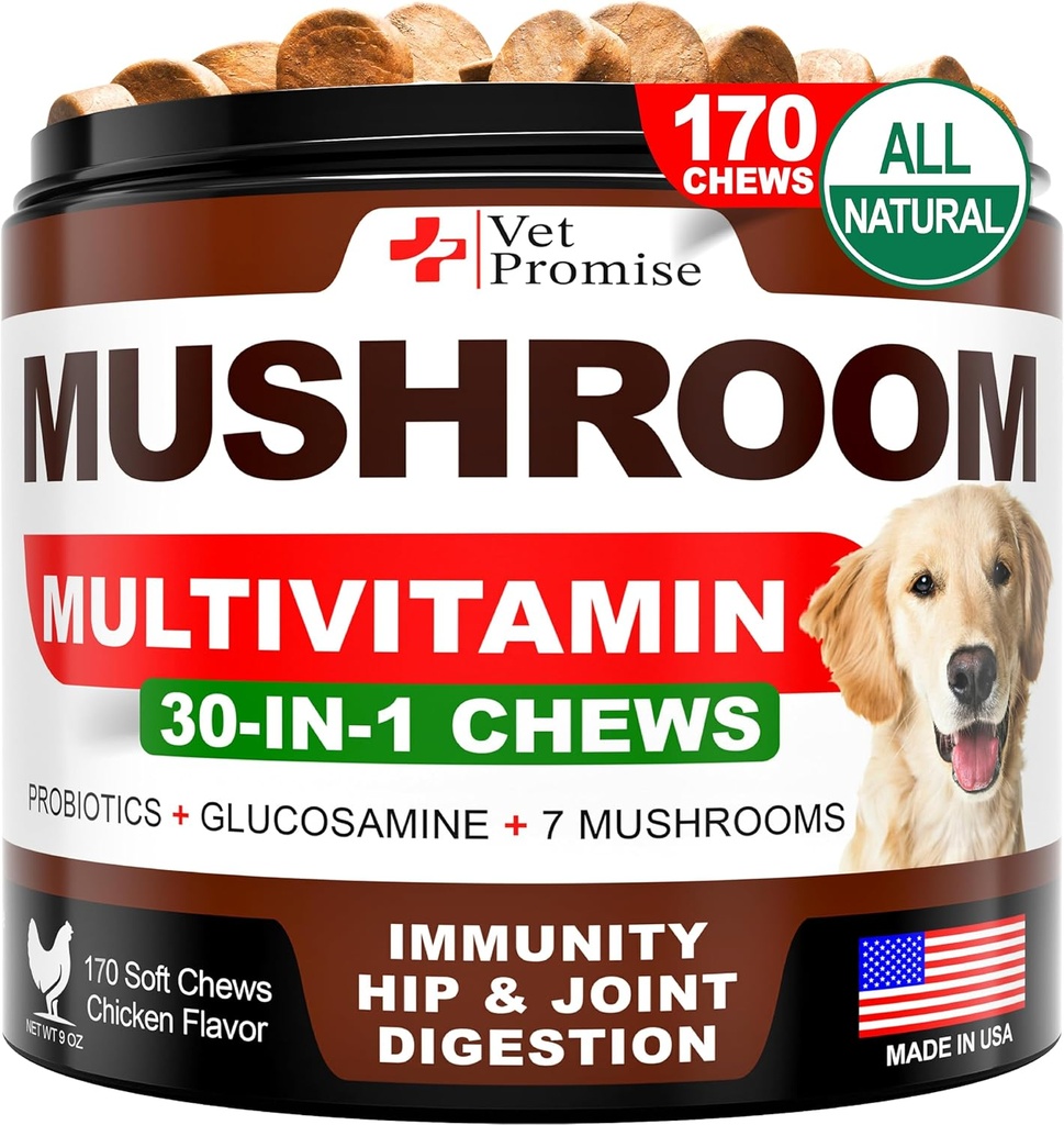 Mushroom for Dogs - 170 Chews - Turquía Tail - Mushroom Supplement for Dogs - Lions Mane - Reishi - Immunity Support Multivitamin Vitamins - Joint Health - Energy - Gut - Skin - Made in USA