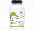 Árbol de antorchas Extracto 900 mg Arabinogalactan (AG) ~ 180 cápsulas - No aditivos