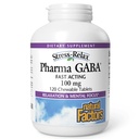 Natural Factors Pharma GABA - Dietary Supplement Supports Calm Sleep & Sleep Quality - Natural, Fast-Working Supplement Aids Focus & Brain Health - 120 Chewable Tablets (60 Servings)