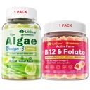 Bundle: Algae Omega 3 Gummies 1 Pack & Methyl B12 + L-Methylfolate Gummies 1 Pack