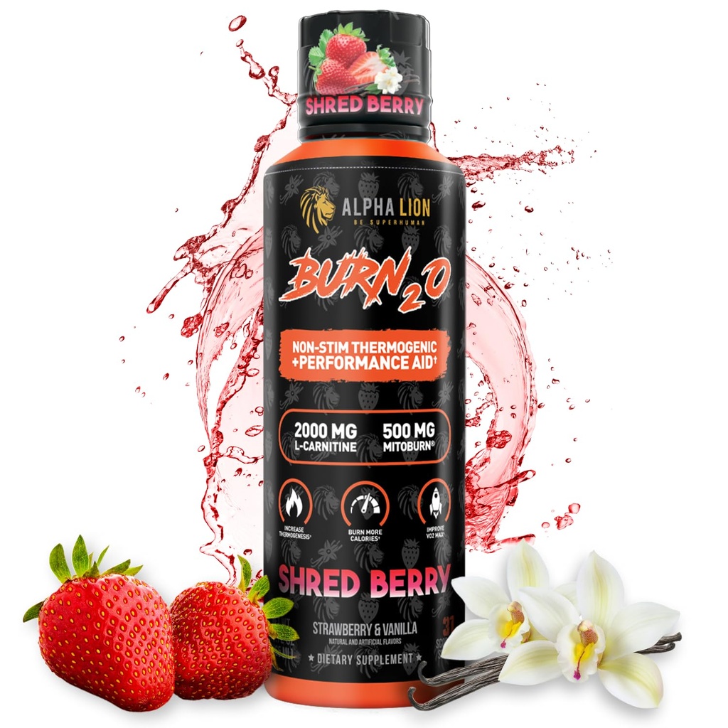 ALPHA LION Burn2O L-Carnitine Liquid 2000mg, Premium Liquid Fat Burner & Pre-Workout Supplement for Men & Women - Natural Energy & Metabolism Booster for Weight Loss - ShredBerry