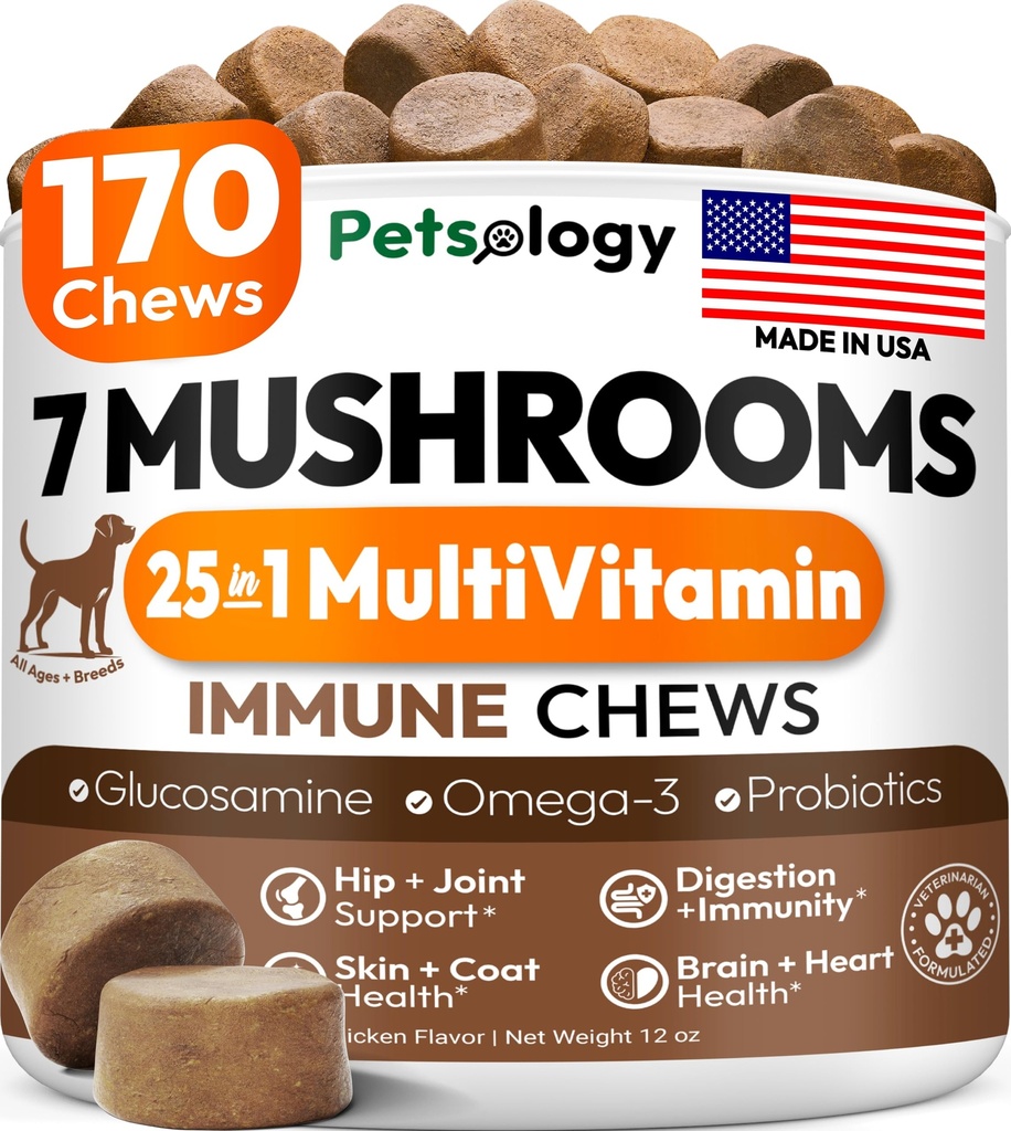 Turkey Tail Mushroom for Dogs - 170 Chews - Lion’s Mane - Shiitake - Reishi - Buddy Immune Support Guard - Mushroom Supplement for Dogs Lumps and Bumps Glucosamine, Health Vitamins Multivitamin