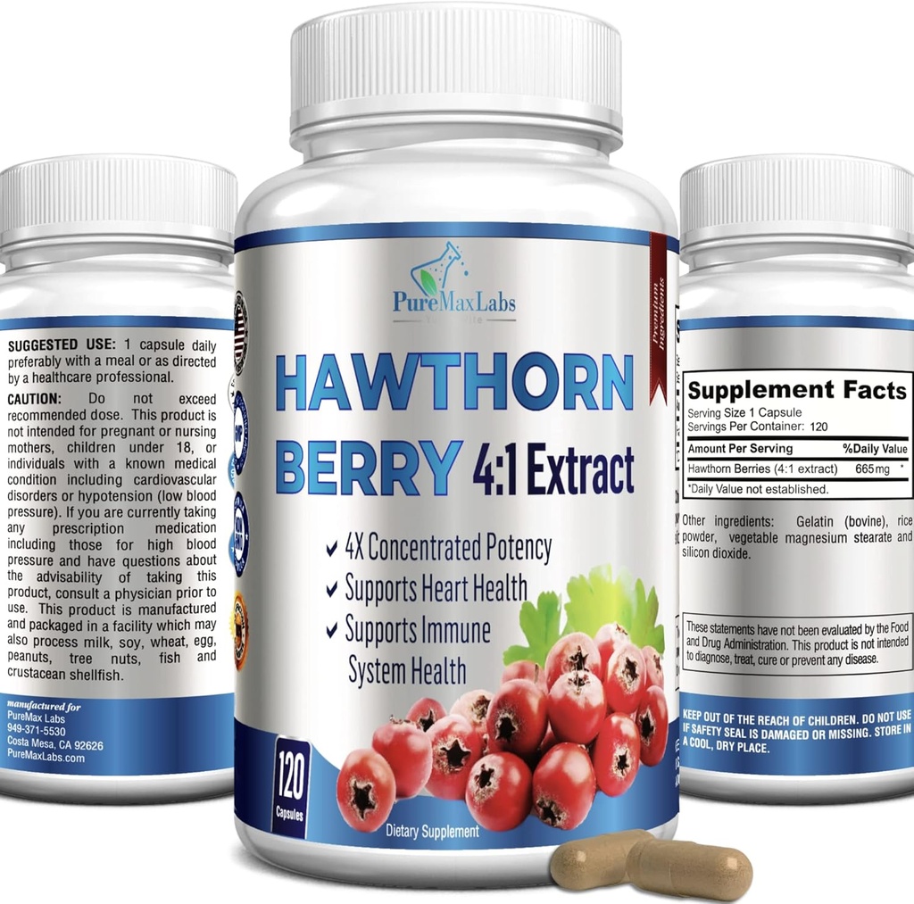 Hawthorn Berry 4:1 Extracto (120 cápsulas) Soporte de sistema inmunitario, Super Antioxidante, cápsulas de Berry Hawthorn Concentrado de 2660mg bayas