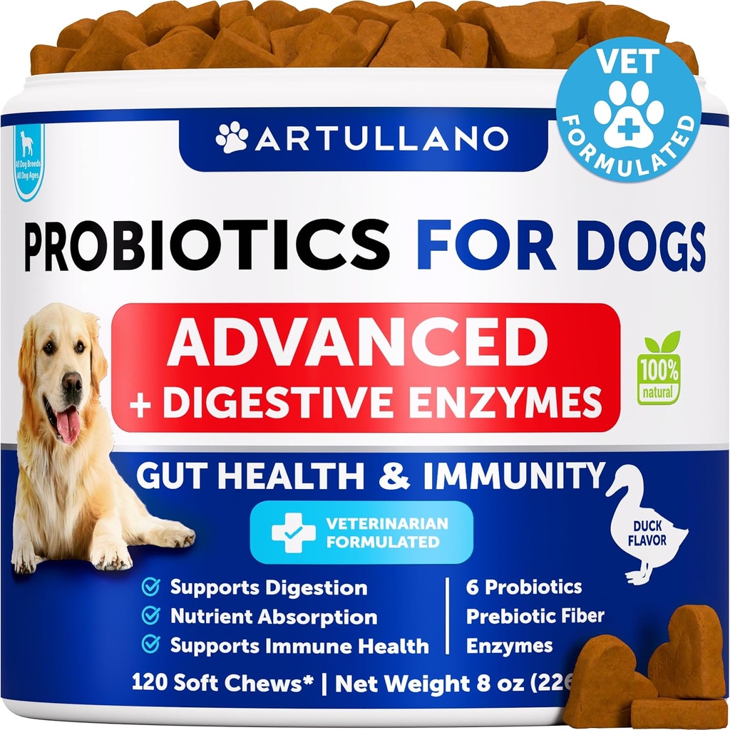 Probióticos para perros - Apoyo Gut Health, Itchy Skin, Alergías, Inmunity, Yeast Balance - Probióticos para perros y enzimas digestivas con prebióticos - Reducir la diarrea, Gas - 120 Chews probióticos para perros