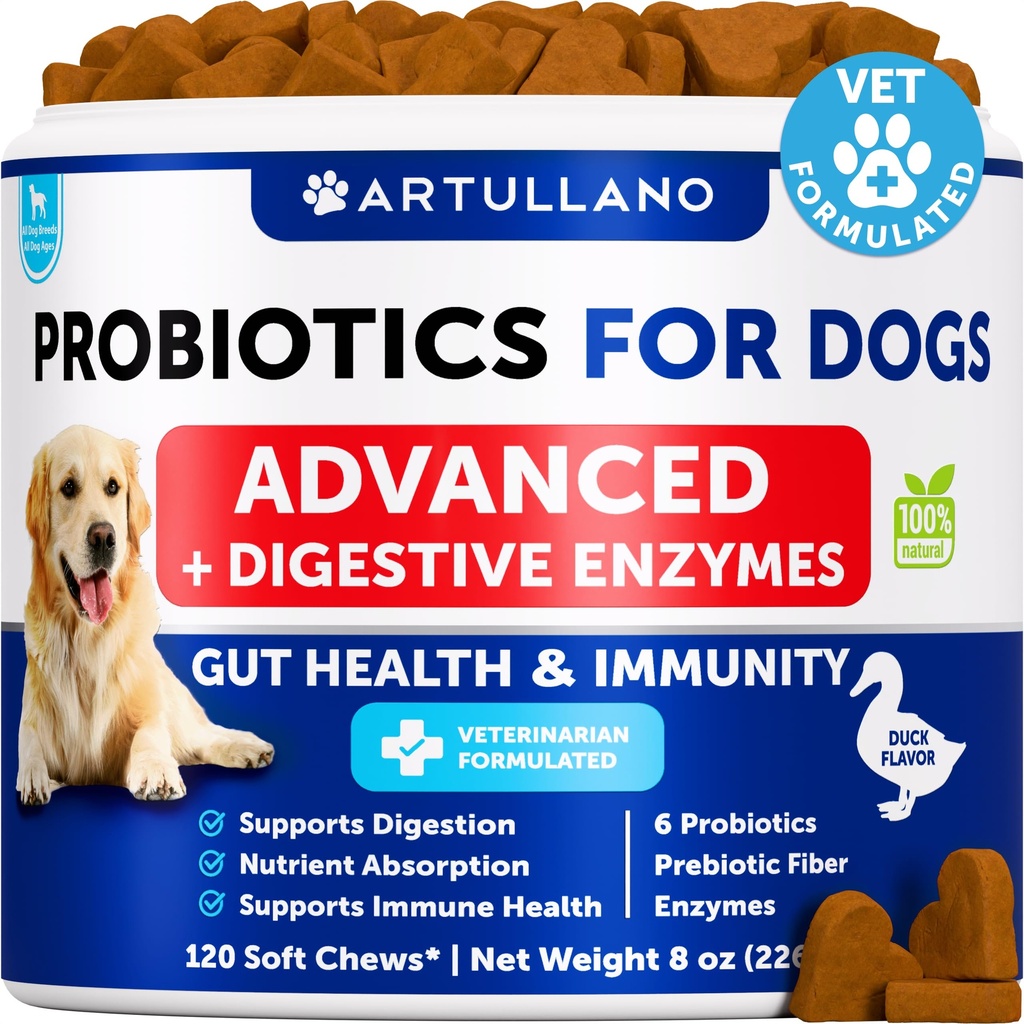 Probiotics for Dogs - Support Gut Health, Itchy Skin, Allergies, Immunity, Yeast Balance - Dog Probiotics and Digestive Enzymes with Prebiotics - Reduce Diarrhea, Gas - 120 Probiotic Chews for Dogs