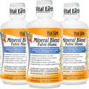 Vital Earth Minerals Fulvic Humic Mineral Blend Liquid 3-Pack – Suplemento Ácido Fulvic con 70+ Minerales Trace, Electrolitos para la recuperación, Balance &amp; Energía, 32 Oz Ea + 1 Oz Cup Ea
