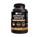 Pure Original Ingredients Boswellia Serrata (365 Capsules) No Magnesium Or Rice Fillers, Always Pure, Lab Verified