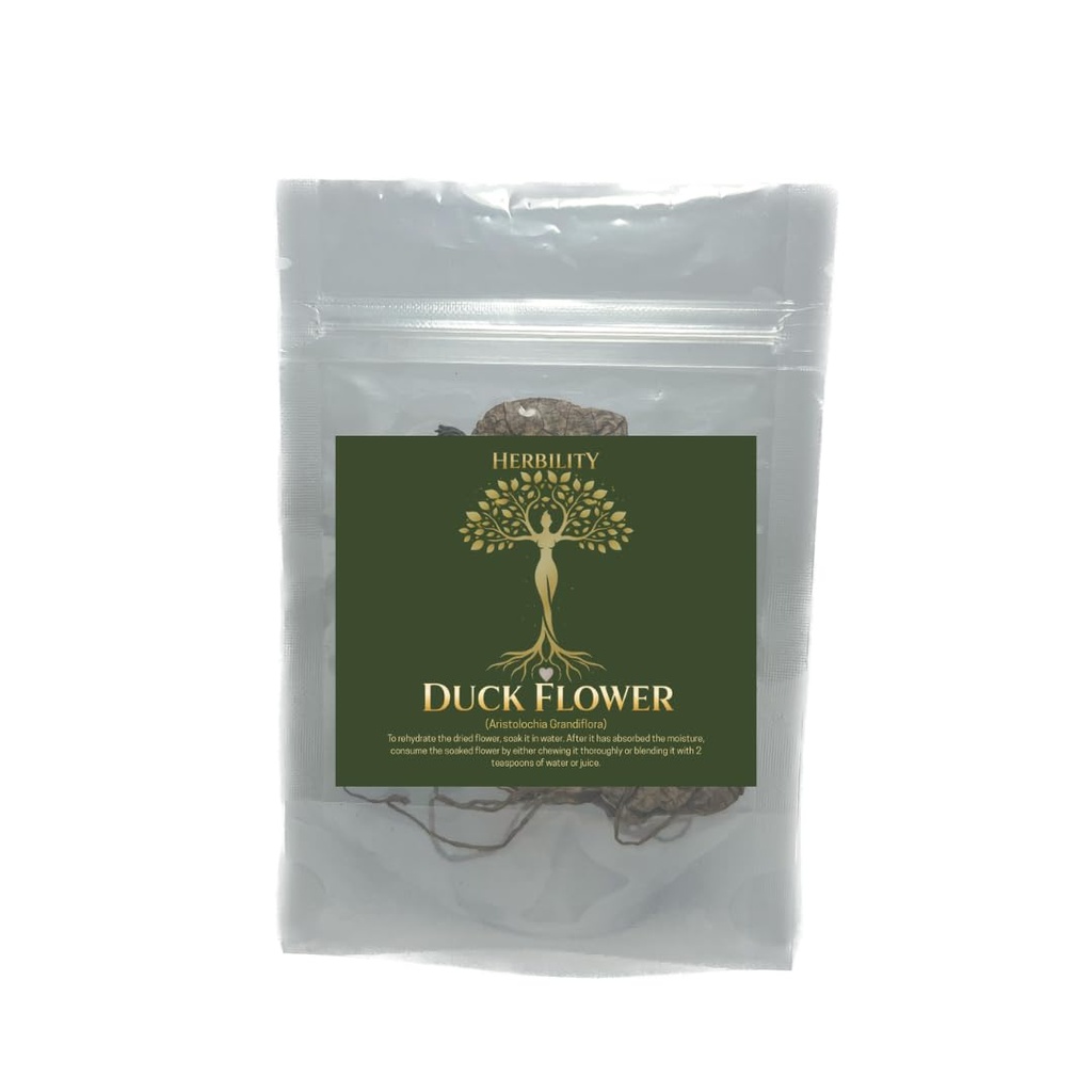 Jamaican Duck Flower, Flor De Pato, Wildcrafted for Wellness, 1 Blossom