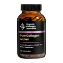 Organic Collagen Australia Pure Collagen & Liver Capsules – Muscle Strength & Vitality with Hydrolyzed Collagen, Grass-Fed Liver, and Vitamin B12 – 120 Capsules