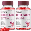rize labs - Pro Burn Keto ACV Gummies, Advanced Formula Support Weight Loss, All Natural Apple Cider Supplement, Keto + ACV Pro Burner Gummy (120 Gummies) (Pack of 2)