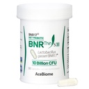 BNRThin S30, Lactobacillus Gasseri BNR17, 10 Billion CFU Guaranteed, 30Capsules