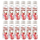 BariatricPal Apple Protein & Collagen Shots - 15g Complete Protein