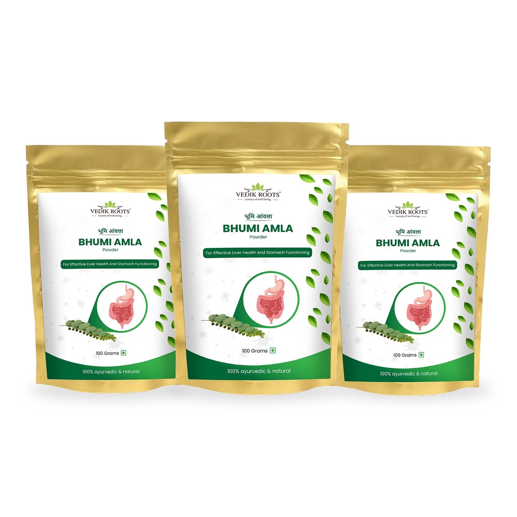 Bhumi Amla Powder | Phyllanthus Niruri | Antioxidant | Supports Liver & Kidney Health | for Better Digestion | Pure Herbal Supplement | 100 Grams (3)